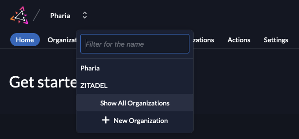 Zitadel: show all organisations